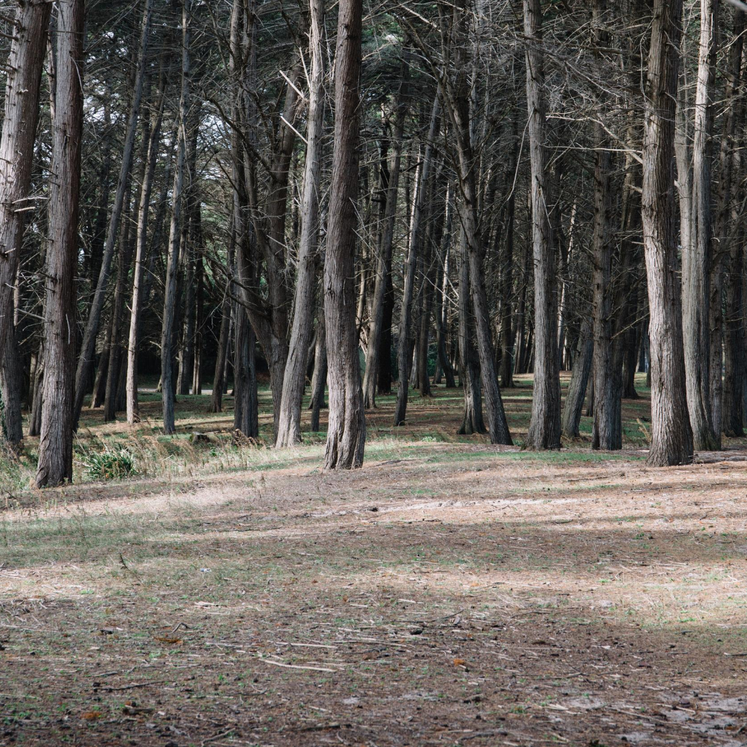 Wild Retreat : où s'évader cet été ?