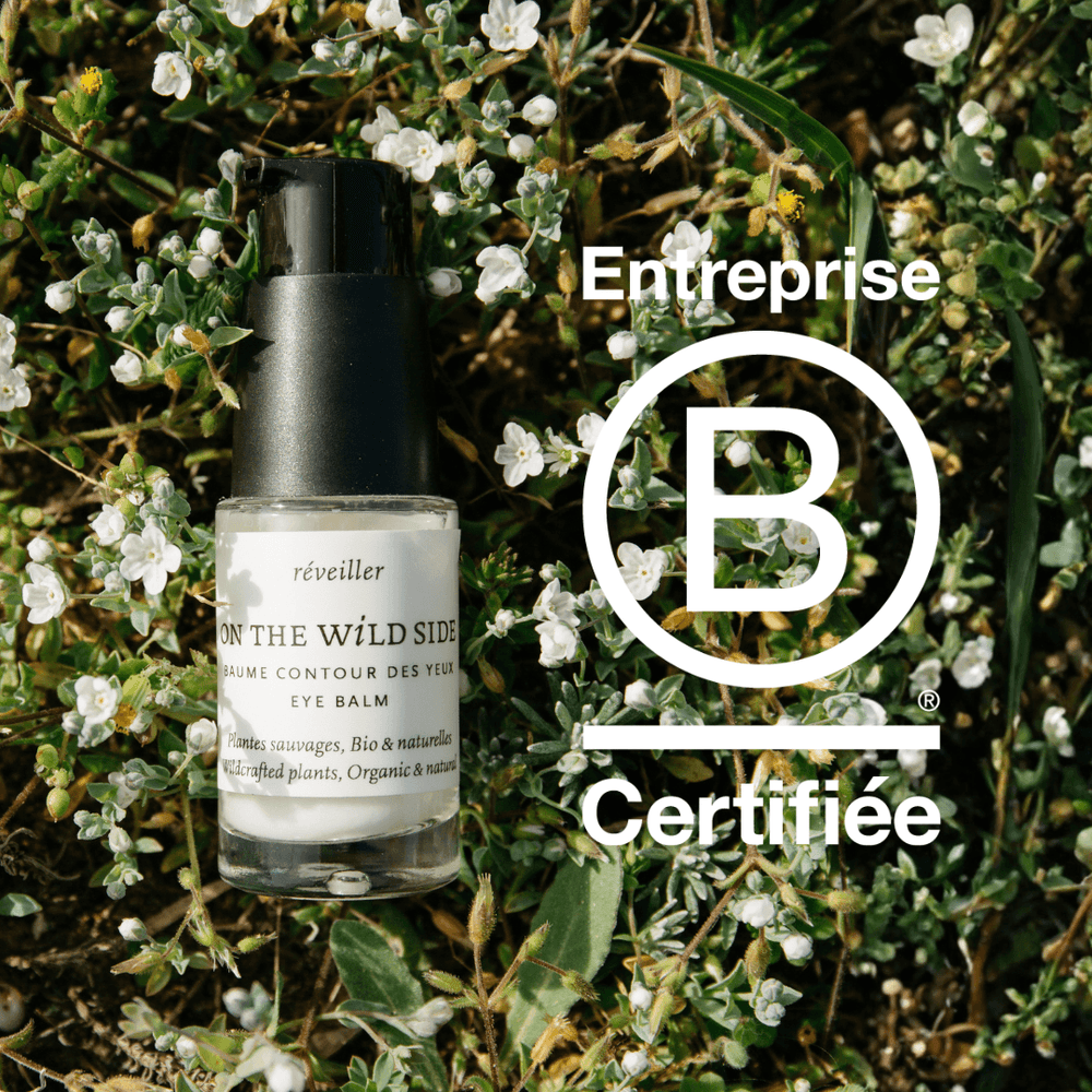 B Corp Certifiée