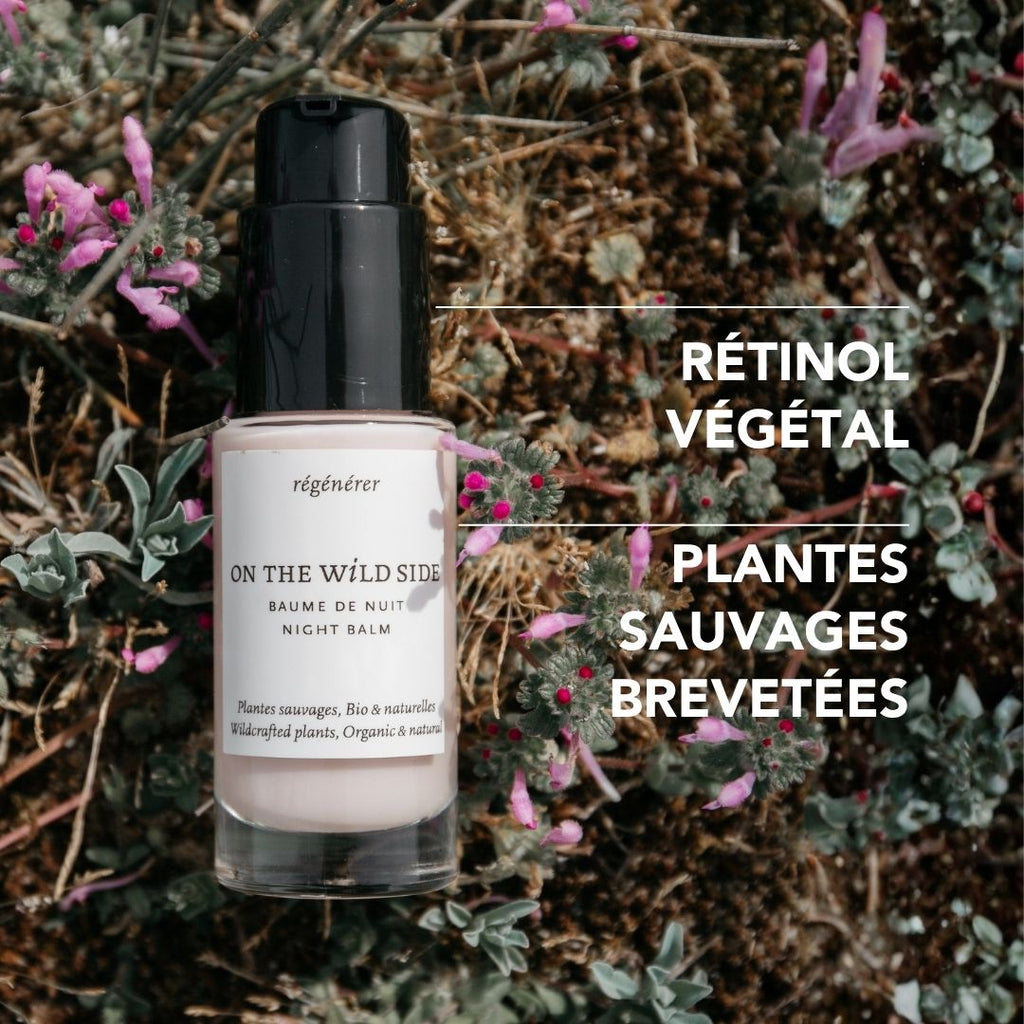 Baume de Nuit Repulpant : Rétinol végétal et plantes sauvages brevetées