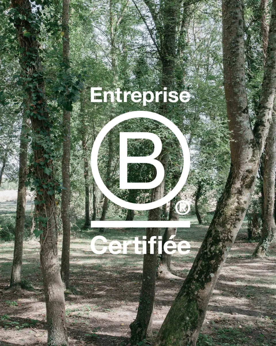 Logo Entreprise B Corp Certifiée dans une forêt
