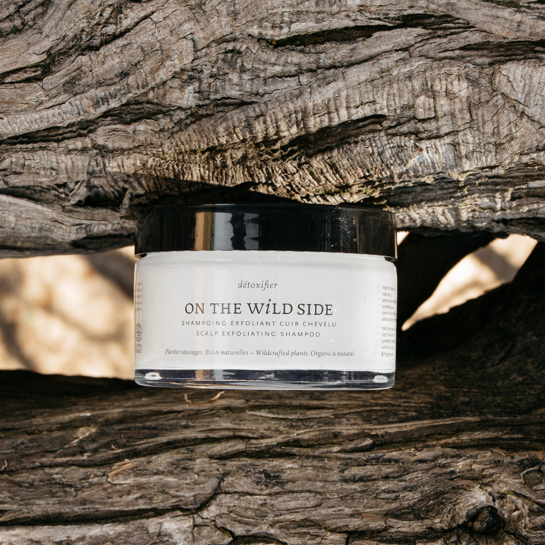 Shampoing Exfoliant Cuir Chevelu